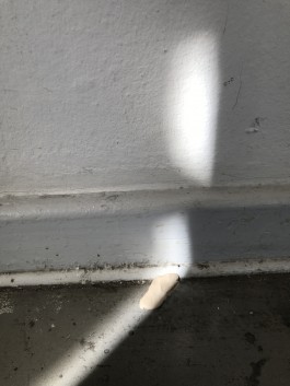 sky is the limit Workshop