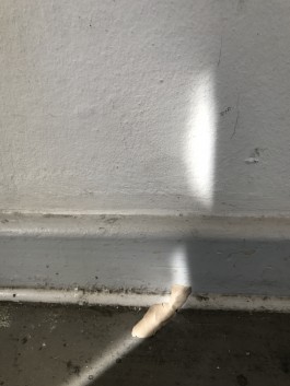 sky is the limit Workshop