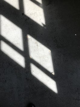 sky is the limit Workshop