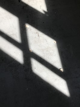 sky is the limit Workshop